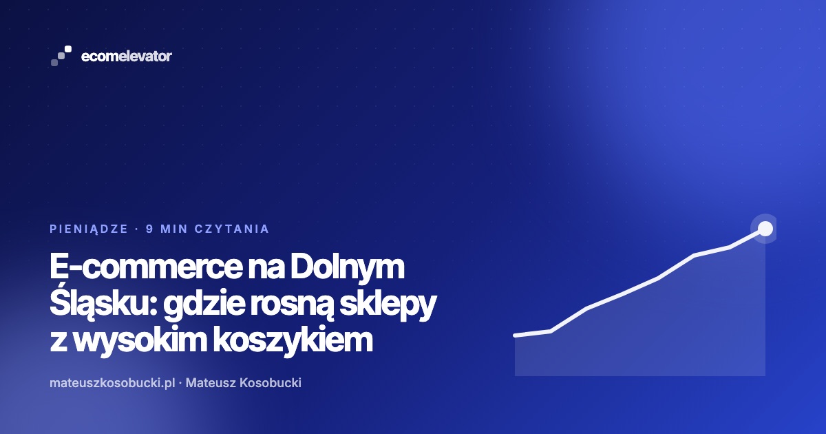 Mateusz Kosobucki podczas wystąpienia o e-commerce z wysokim koszykiem na Dolnym Śląsku