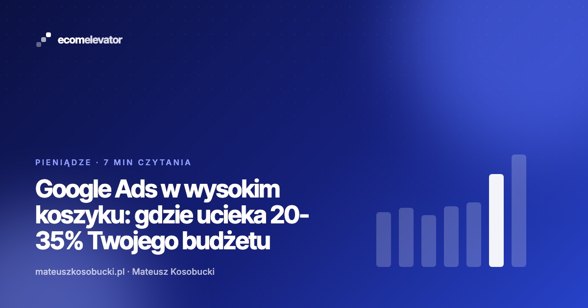 Raport wyszukiwanych haseł Google Ads z zaznaczonymi frazami bez konwersji w sklepie z wysokim koszykiem
