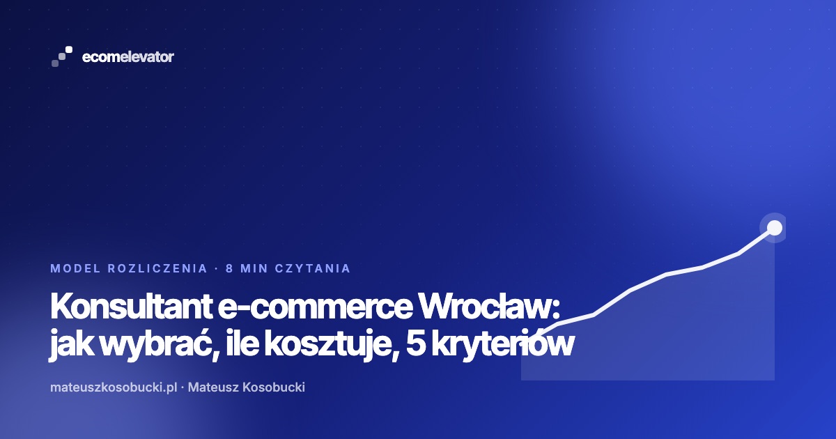 Mateusz Kosobucki, konsultant e-commerce z Wrocławia, podczas pracy nad danymi sklepu internetowego