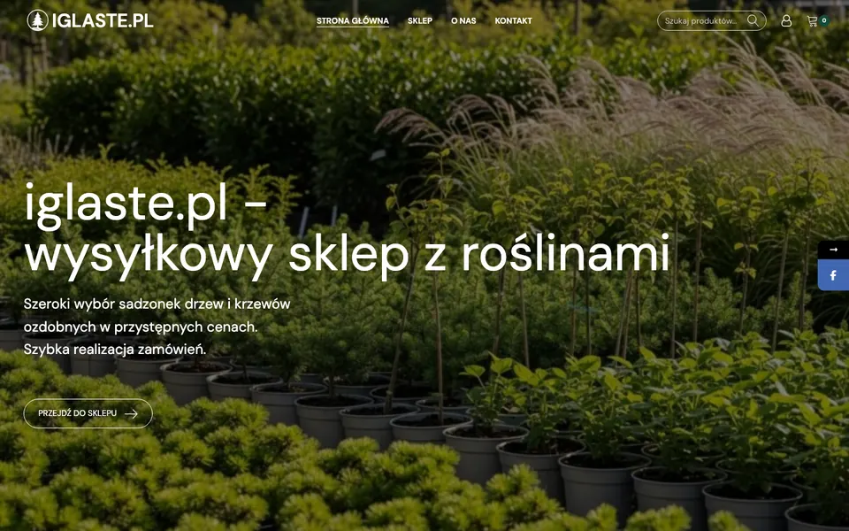 Strona iglaste.pl, widok na komputerze
